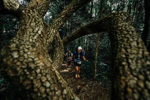 BIB: 
                            <button type="button" onclick="openModal(25701606)" class="btn btn-primary btn-sm float-right btn-popup" data-toggle="modal" data-target=".modal-high-quality">
                        <i class="fas fa-shopping-cart"></i> Add to Cart
                    </button>
                                            <button type="button" onclick="isThisMe(25701606, true)" class="btn btn-success btn-sm float-right btn-popup btn-isme hidden" data-toggle="tooltip" data-placement="bottom" title="นี่คือรูปของคุณใช่ไหม คลิกที่นี่เพื่อเอาเข้าอัลบั้ม">
                        <i class="fas fa-plus"></i> Add to album
                    </button>
                    <button type="button" onclick="isThisMe(25701606, false)" class="btn btn-warning btn-sm float-right btn-popup btn-isnotme hidden">
                        <i class="fas fa-ban"></i> Remove from album
                    </button>